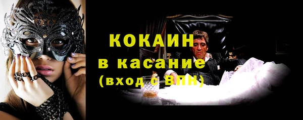 хмурый Алзамай