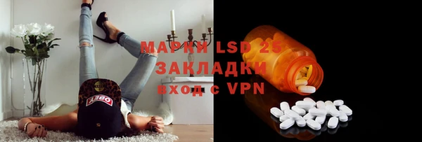 хмурый Алзамай