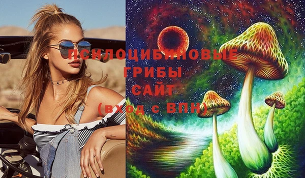 сатива Алексеевка