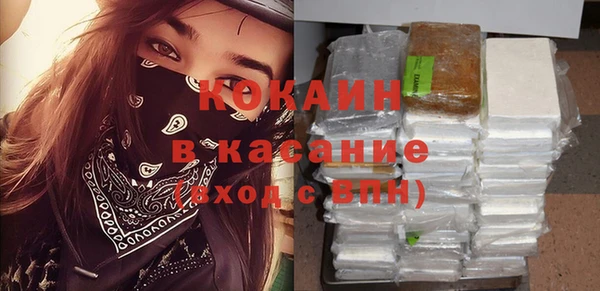 сатива Алексеевка