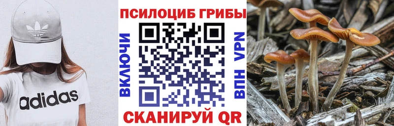 omg ONION  Чебоксары  Галлюциногенные грибы GOLDEN TEACHER 