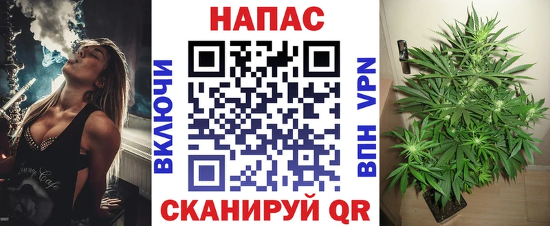 дарнет шоп  Чебоксары  Марихуана марихуана 